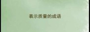 表示质量的成语