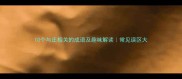 10个与庄相关的成语及趣味解读常见误区大