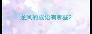 龙凤的成语有哪些