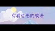 有看意思的成语
