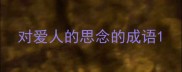 对爱人的思念的成语