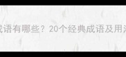 形容极致的成语有哪些20个经典成语及用法附例句