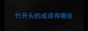 竹开头的成语有哪些