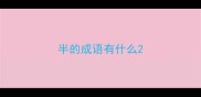半的成语有什么
