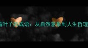10个经典比喻叶子的成语从自然意象到人生哲理的智慧传承