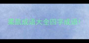 栗鼠成语大全四字成语