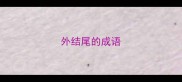 外结尾的成语