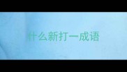 什么新打一成语