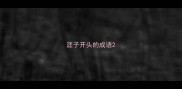 涯子开头的成语