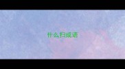 什么扫成语