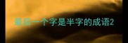 最后一个字是半字的成语