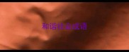 和谐社会成语