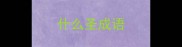 什么圣成语