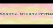 鸠的成语大全10个经典成语及文化内涵