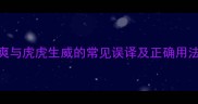 成语英译实用指南英姿飒爽与虎虎生威的常见误译及正确用法含20组同类成语对比