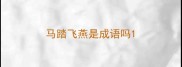 马踏飞燕是成语吗