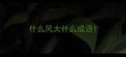 什么风大什么成语