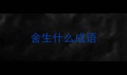 舍生什么成语