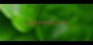 嘻成语有哪些成语大全