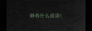 静有什么成语