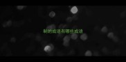 制的成语有哪些成语