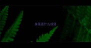 身是是什么成语