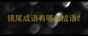 镜尾成语有哪些成语