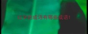 红字的成语有哪些成语