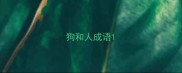 狗和人成语