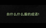 自什么什么盾的成语