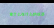重什么在什么的成语