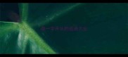 带一字开头的成语大全