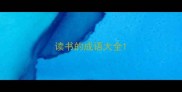读书的成语大全