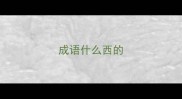 成语什么西的