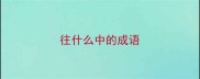 往什么中的成语