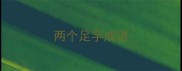 两个足字成语
