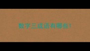 数字三成语有哪些