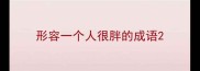 形容一个人很胖的成语
