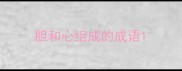 胆和心组成的成语