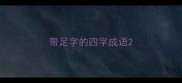 带足字的四字成语