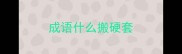 成语什么搬硬套