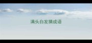 满头白发猜成语