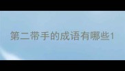 第二带手的成语有哪些