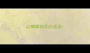 以蝴蝶和花的成语
