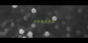 分字最后成语