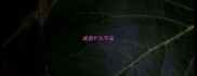 成语什么不安