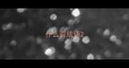 什么百成语