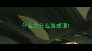 什么之什么素成语