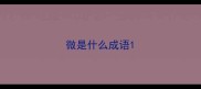 微是什么成语