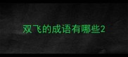双飞的成语有哪些